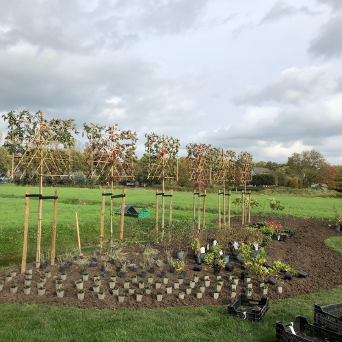 Cerci Design - Diensten-2