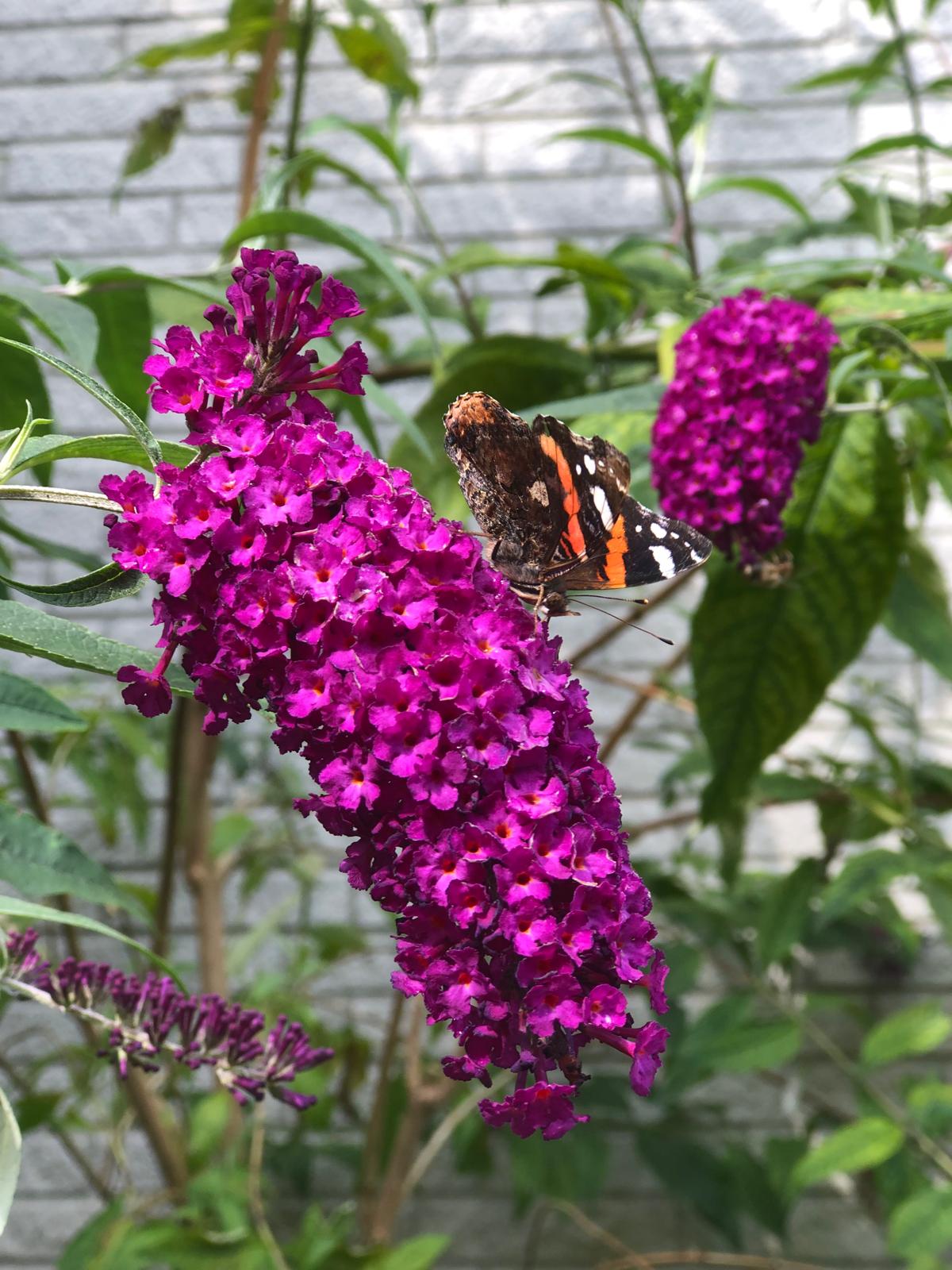 WhatsApp Image 2024-12-02 at 10.34.28