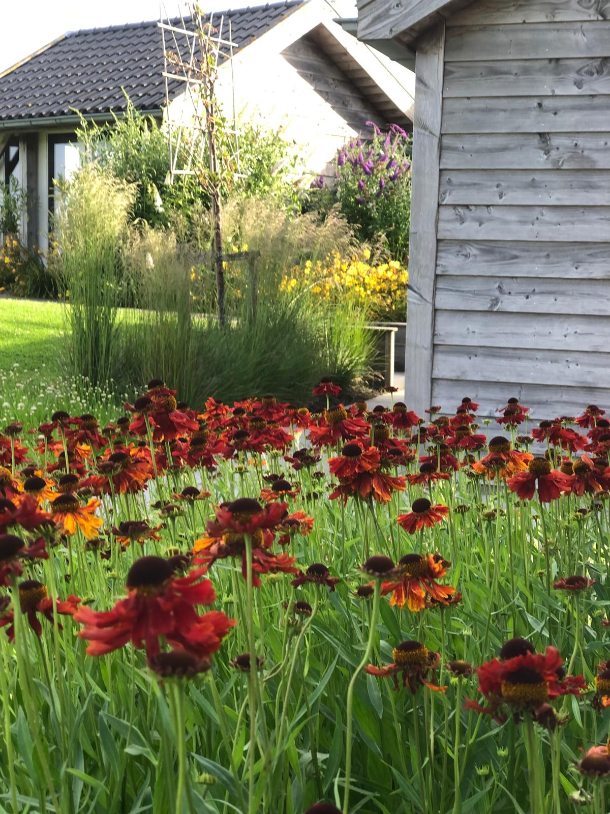 WhatsApp Image 2024-12-02 at 10.37.47