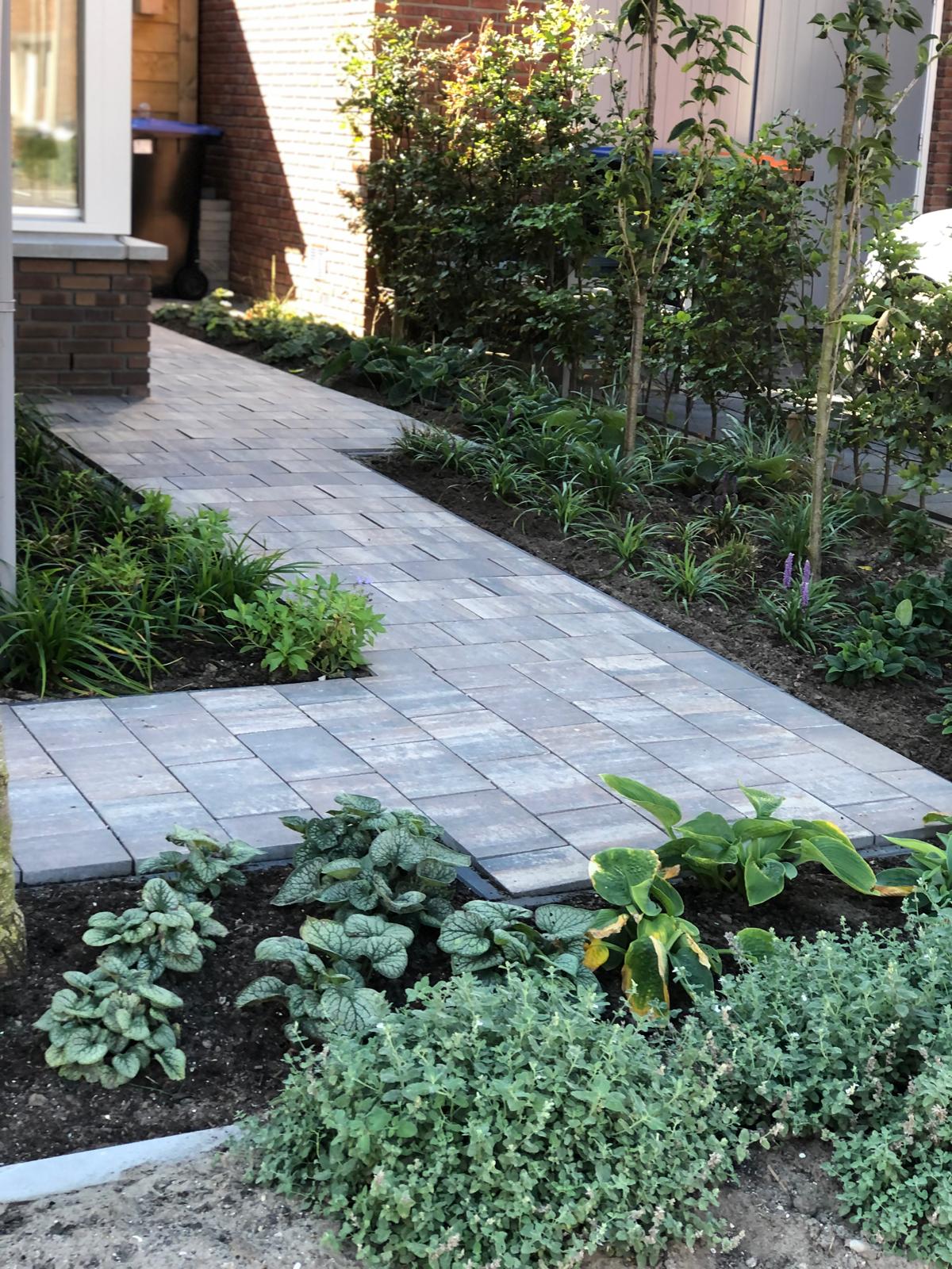 WhatsApp Image 2024-12-02 at 21.17.08 (2)