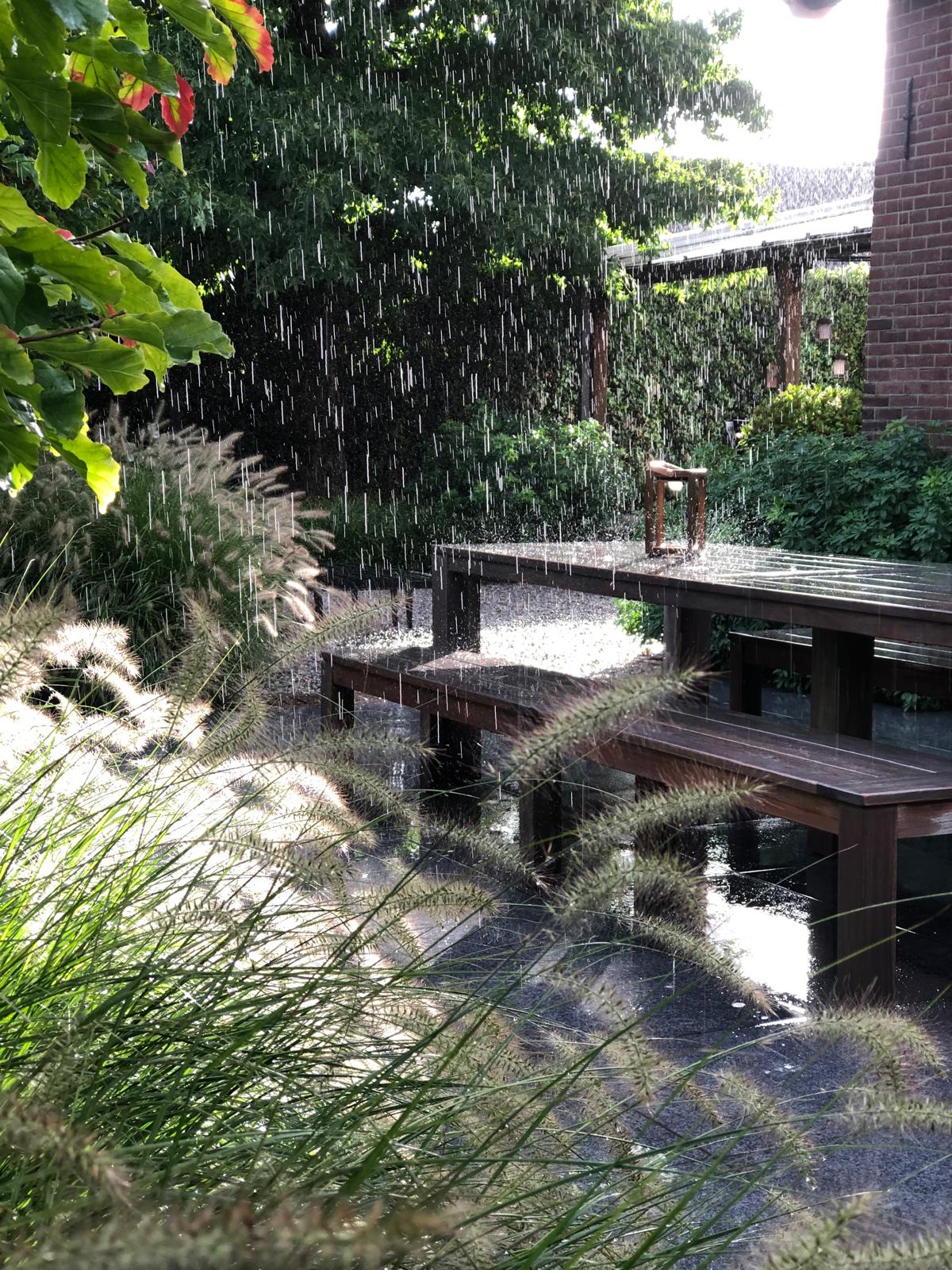 WhatsApp Image 2024-12-02 at 21.17.08 (3)