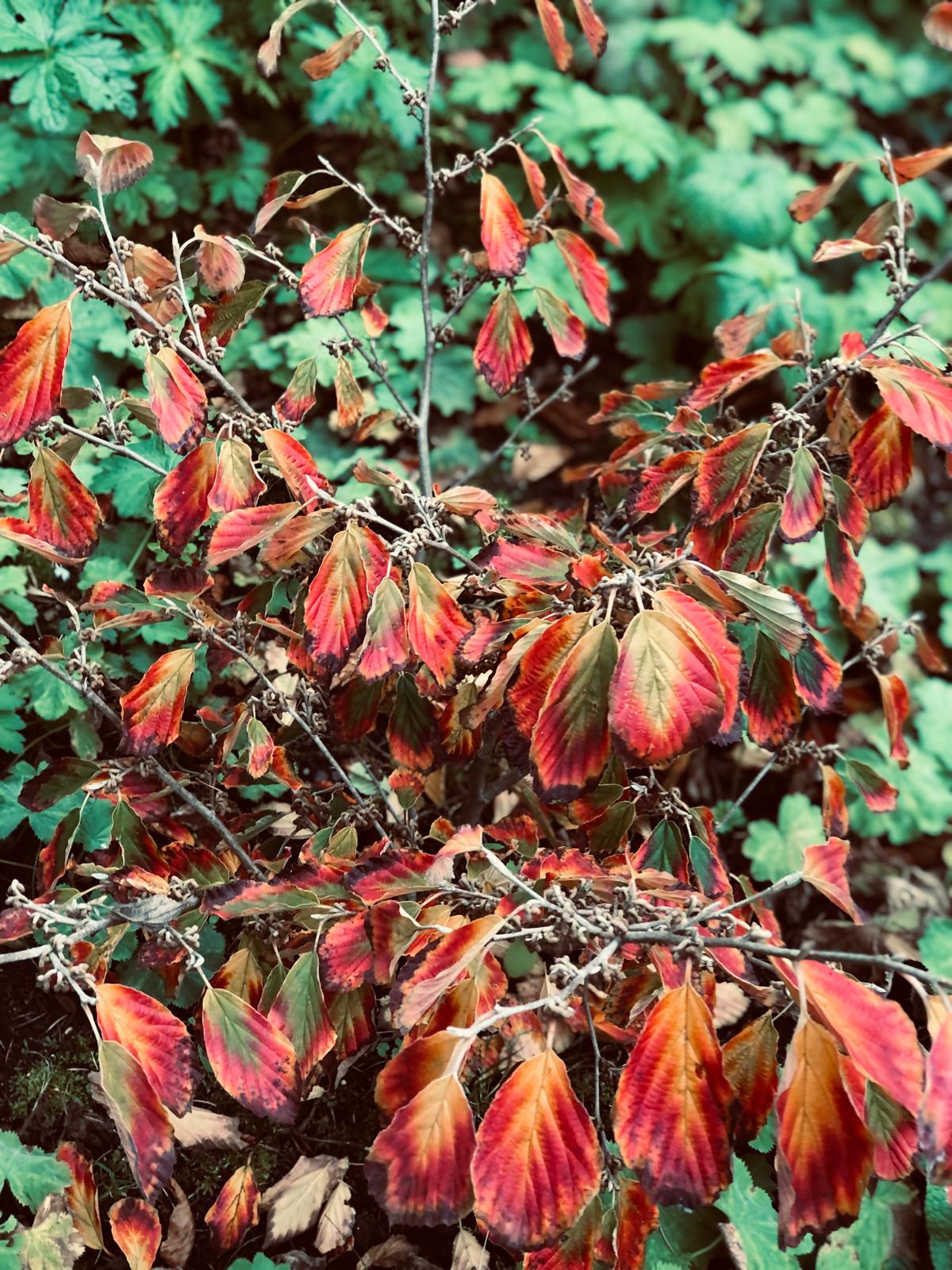 WhatsApp Image 2024-12-02 at 21.17.08 (4)