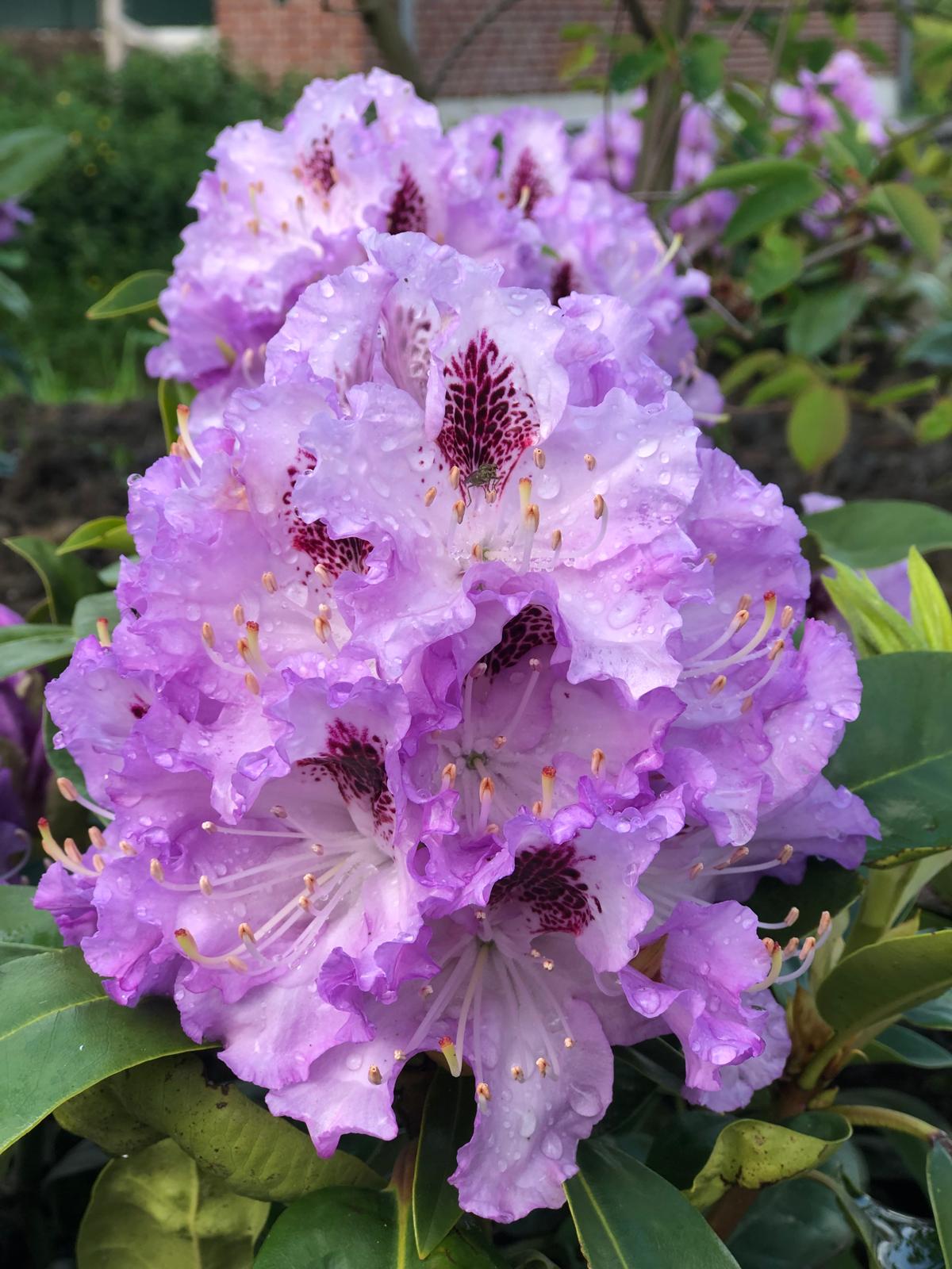 WhatsApp Image 2024-12-02 at 21.17.08 (8)