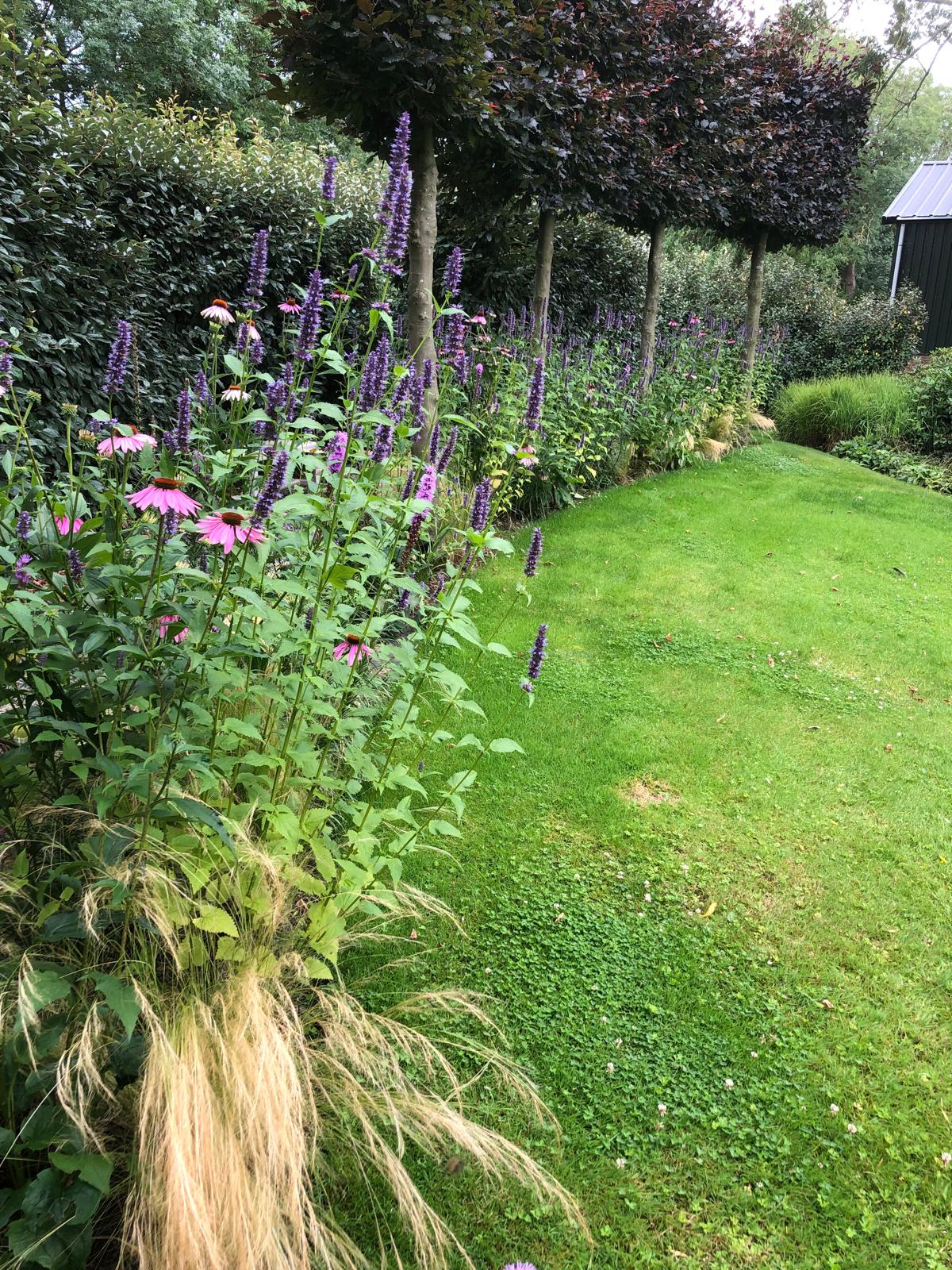 WhatsApp Image 2024-12-02 at 21.17.08 (9)