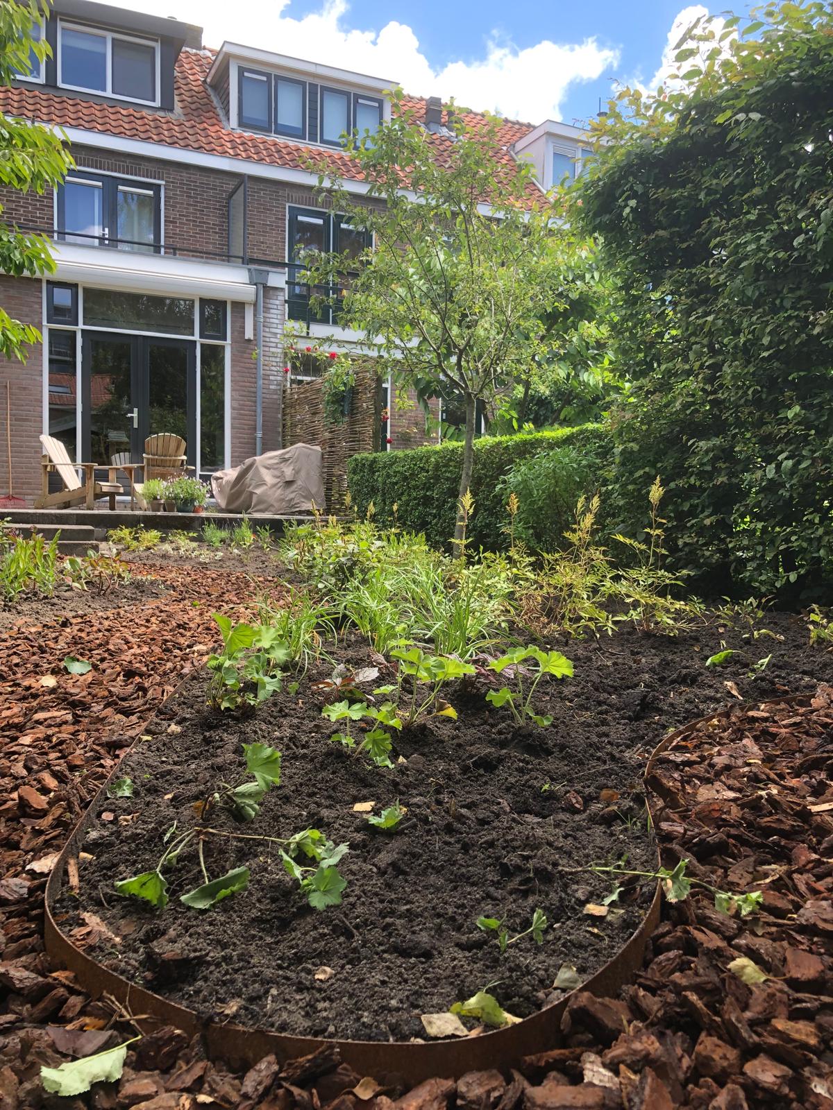 WhatsApp Image 2024-12-02 at 21.17.12 (2)