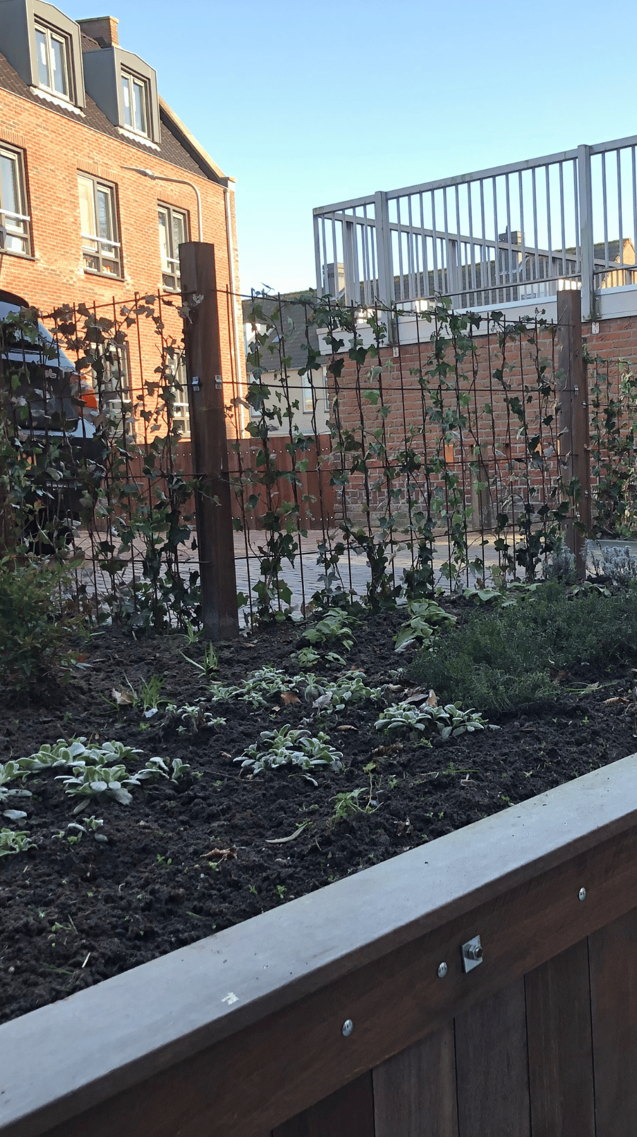 Parkeerplek omgeven door groen en beplanting in een tuin in Alblasserdam, tuinaanleg door Cerci Design