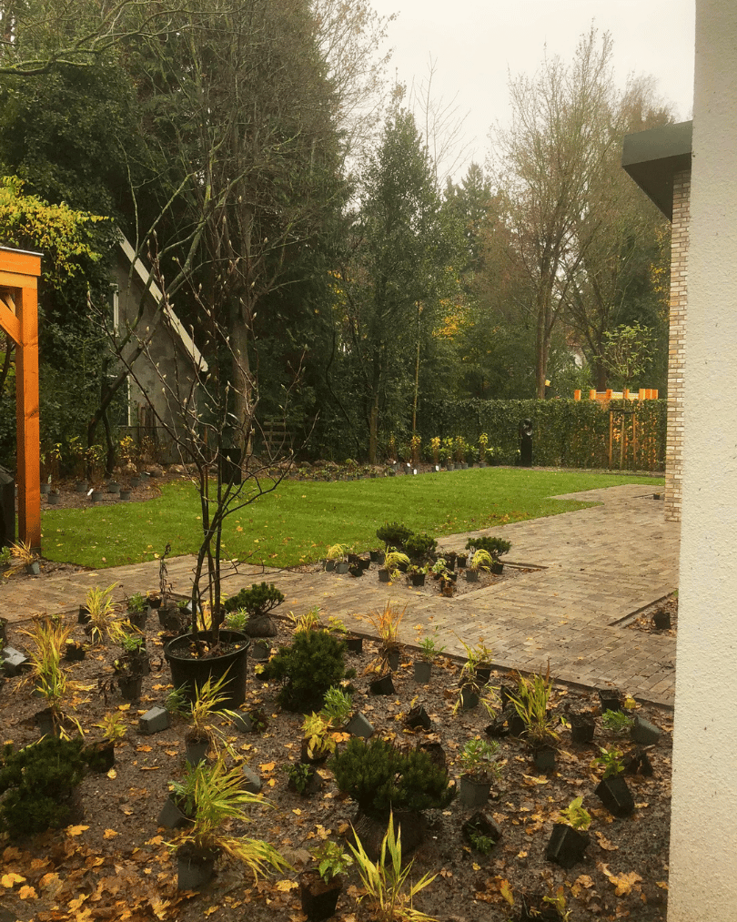 Beplantingsplan met violet, wit en paarse bloei voor een tuin in Bennekom